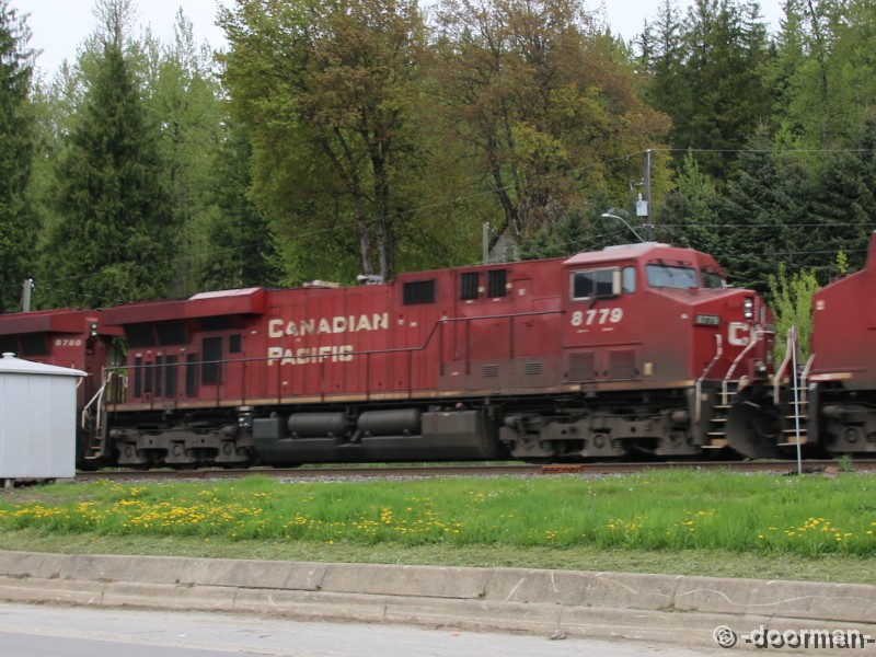 8779.jpg